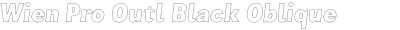 Wien Pro Outl Black Oblique